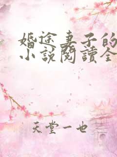 婚途妻子的秘密小说阅读全文