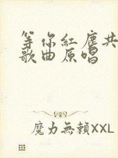 等你红尘共一生歌曲原唱