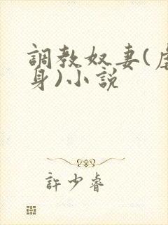 调教奴妻(虐女身)小说