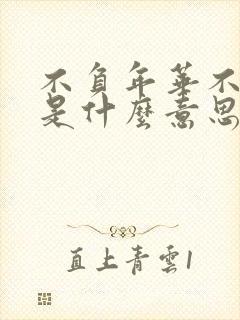 不负年华不负卿是什么意思是什么