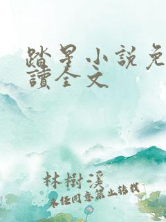 踏星小说免费阅读全文