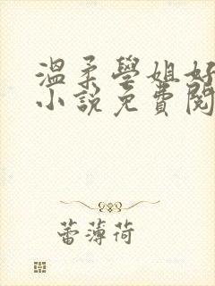 温柔学姐好迷人小说免费阅读全文