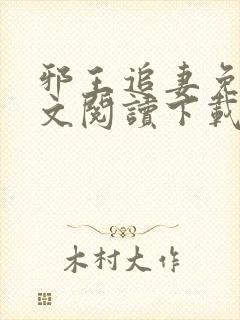 邪王追妻免费全文阅读下载