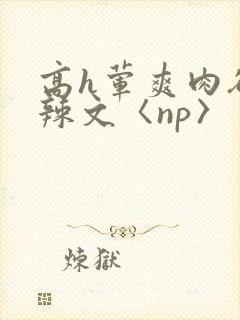 高h荤爽肉欲文辣文〈np〉