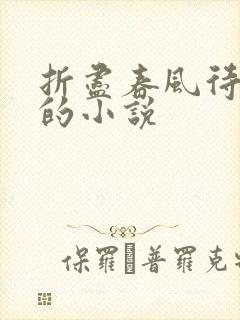 折尽春风待月归的小说