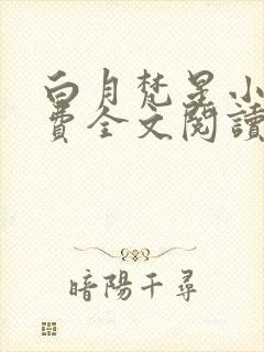 白月梵星小说免费全文阅读