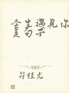 今生遇见你的唯美句子