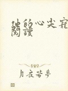 他的心尖宠完整阅读