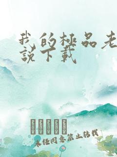 我的极品老婆小说下载