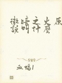 微暗之火原著小说叫什么