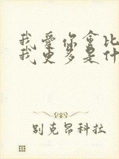 我爱你会比你爱我更多是什么歌