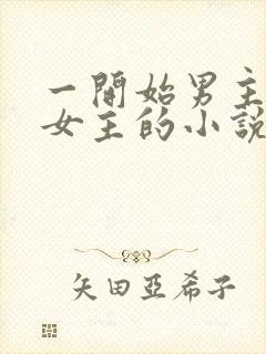 一开始男主想杀女主的小说