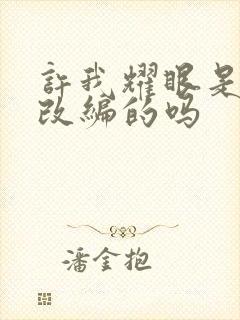 许我耀眼是小说改编的吗