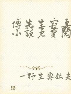 傅先生宠妻无度小说免费阅读