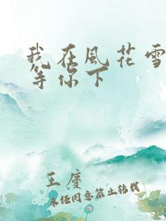 我在风花雪月里等你下