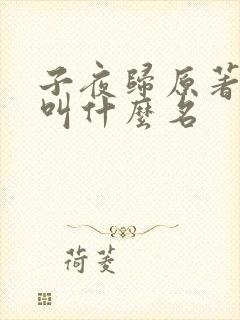 子夜归原著小说叫什么名