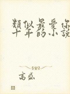 类似最爱你的那十年的小说推荐