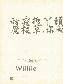 甜宠拽丫头:恶魔校草,你好甜