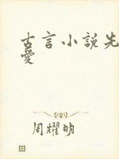古言小说先婚后爱