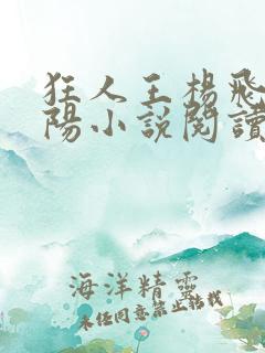 狂人王杨飞秦艳阳小说阅读