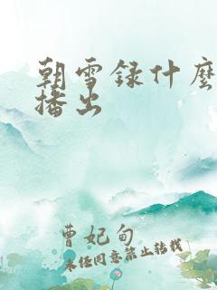 朝雪录什么时候播出