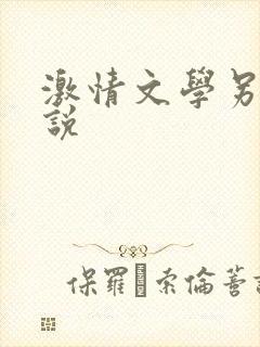 激情文学另类小说