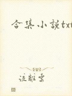 合集小说txt