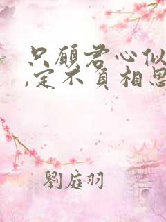 只愿君心似我心,定不负相思意主题