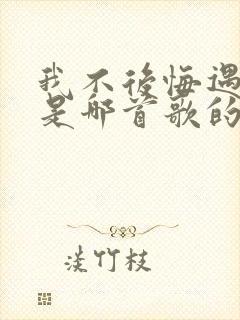 我不后悔遇见你是哪首歌的歌词