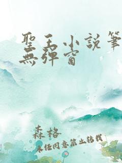 圣王小说笔趣阁无弹窗