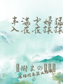 丰满少妇猛烈进入夜夜揉揉日日人