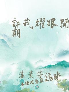 许我耀眼开播日期