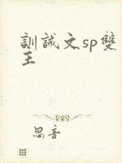 训诫文sp双男主
