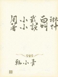 周小武白琳琳原著小说叫什么名字