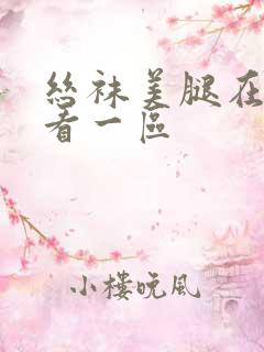 丝袜美腿在线观看一区