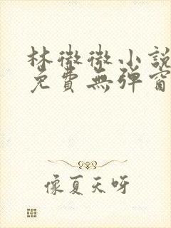 林微微小说阅读免费无弹窗