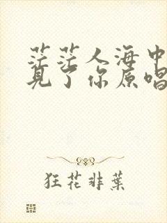 茫茫人海中我遇见了你原唱