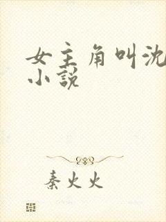 女主角叫沈姒的小说