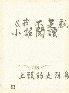 《我不是戏神》小说阅读