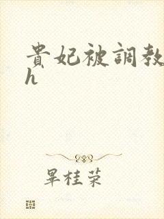 贵妃被调教浪荡h