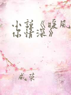小说《暖风不及你情深》