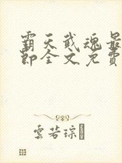 霸天武魂最新章节全文免费阅读