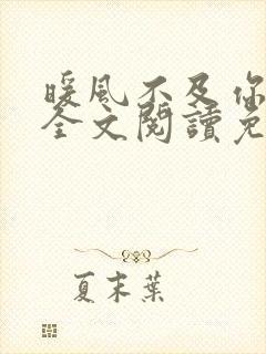 暖风不及你情深全文阅读免费