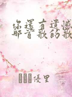 你还有遗憾吗是哪首歌的歌词