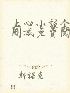 上心小说全文无删减免费阅读