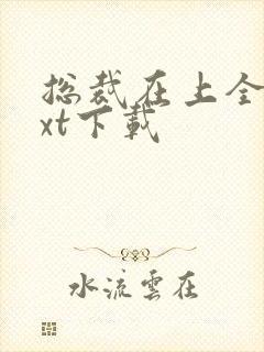 总裁在上全本txt下载