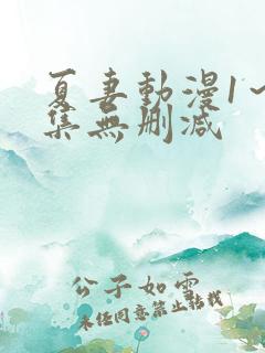 夏妻动漫1～2集无删减