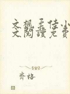 文枫柔佳小说全文阅读免费