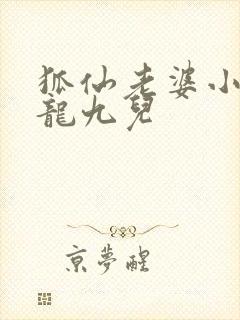 狐仙老婆小说沈龙九儿