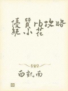 优质rb攻略系统小花